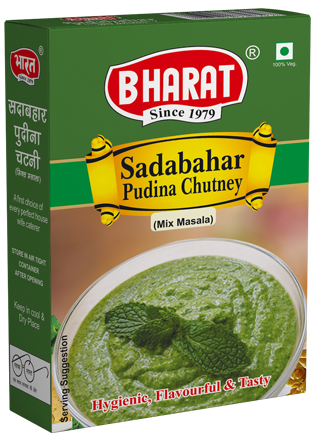 sadabahar-pudina-chutney